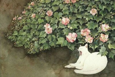 旧图-壁纸-关于猫
