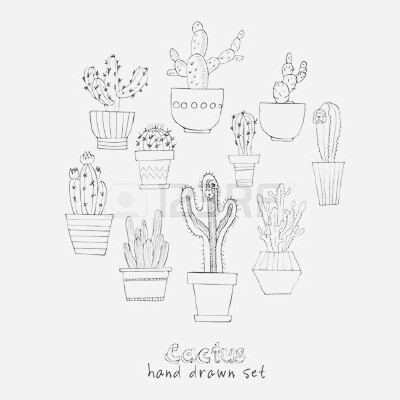 简单实用的黑白素材（简笔画，植物）