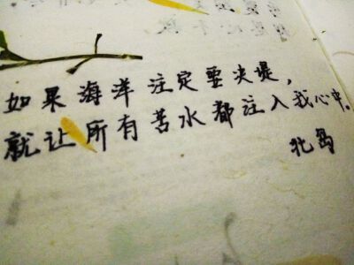如果海洋注定要决堤。