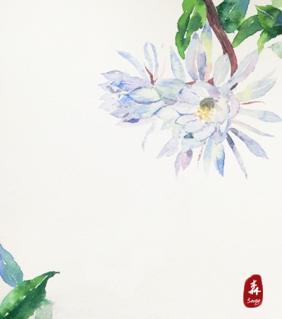 昙花一现太匆匆。