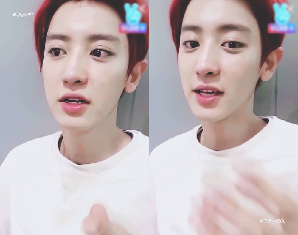 EXO 朴灿烈