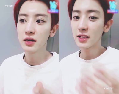 EXO 朴灿烈
