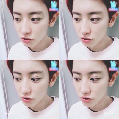 EXO 朴灿烈