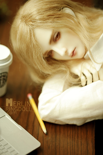 ringdoll： Merlin