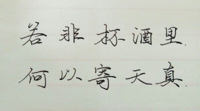 手写 练字 笔:施耐德
