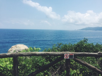 海