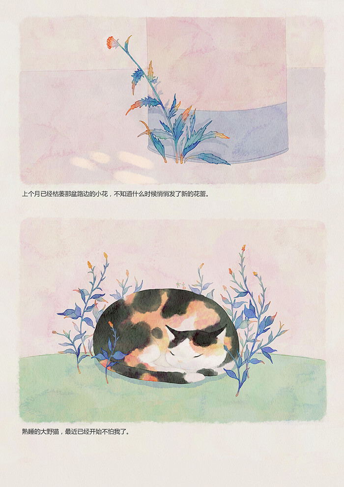 生锈的宝盒11 治愈 清新 绘本_涂鸦王国插画 木言