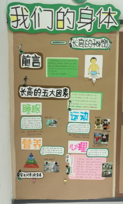 幼儿园板块儿