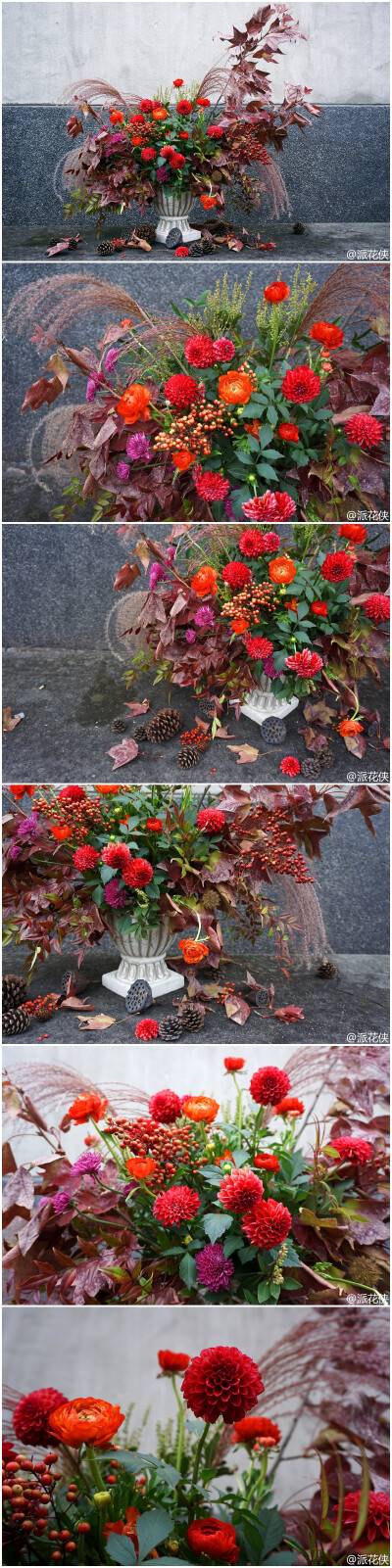 春生秋杀。
生也很茂盛，死也很盛大。——微博：派花侠
