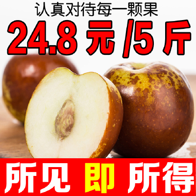 【现货】正宗沾化冬枣新鲜水果现摘现发脆枣鲜甜山东滨州特产 5斤