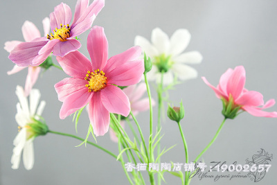软陶粘土饰品手链软陶花果唯美