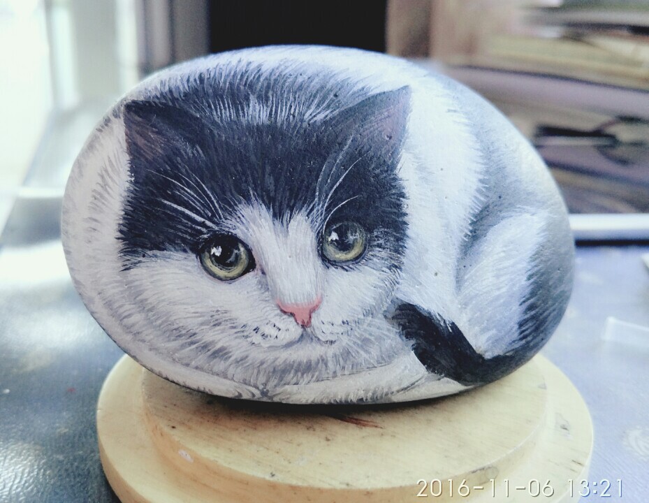 我家的猫 喵石代言人