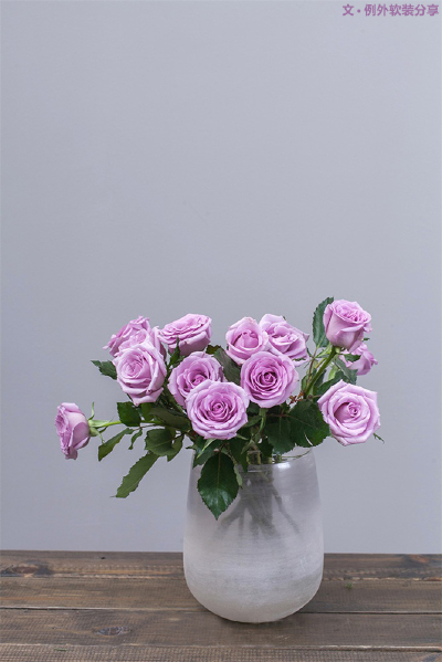  4、紫色玫瑰 rose & 高冷女王的唇色
