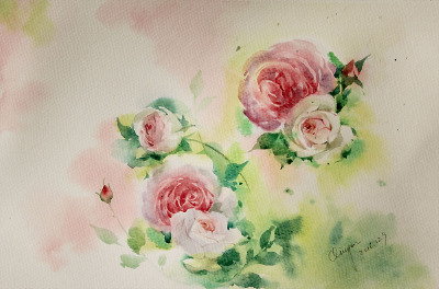 水彩蔷薇花