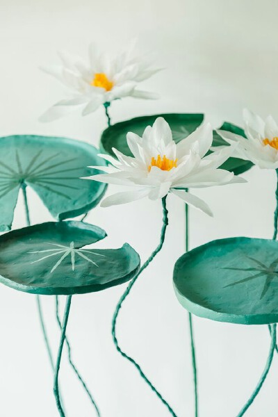 纸花欣赏