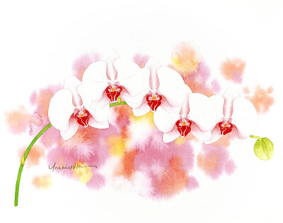 日本水彩画家茨木祥之の和风清新水彩画 