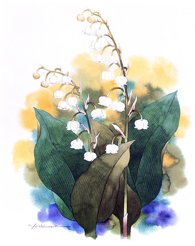 日本水彩画家茨木祥之の和风清新水彩画 