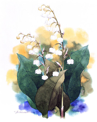日本水彩画家茨木祥之の和风清新水彩画 