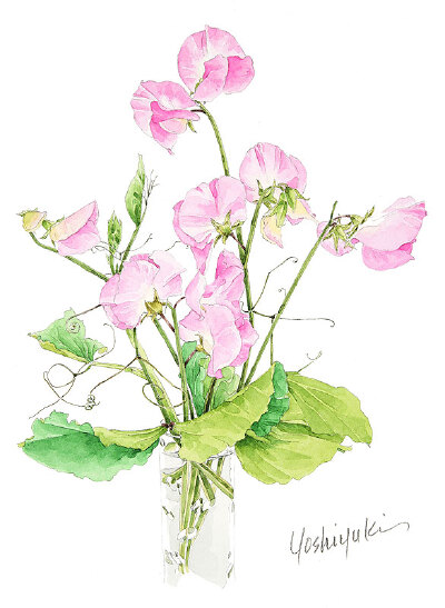 日本水彩画家茨木祥之の和风清新水彩画 