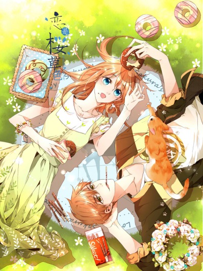 ❀ 恋是樱草色 ❀