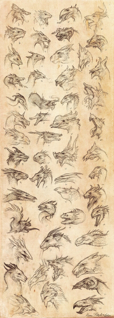 龙首 设计 图纸 1-52 龙图 西方龙 图源DeviantArt by KatePfeilschiefter