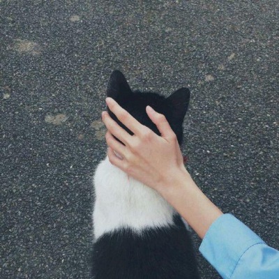 愿能伴你长久。