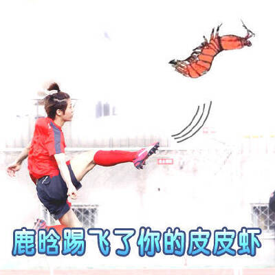 鹿晗踢飞了你的皮皮虾