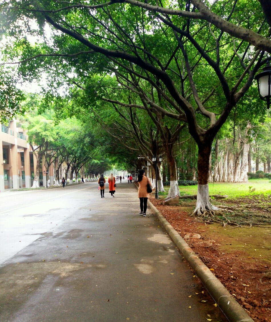 前面染发的女孩子好像一个人，只是发色，后来近距离看了几眼，发现一点都不像