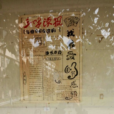 最喜欢的书