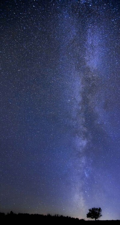 什么能让风苍老