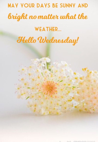 Hello Wednesday 
