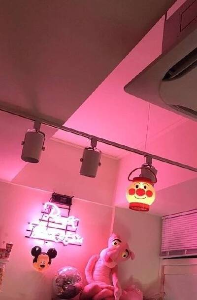 粉红顽皮豹