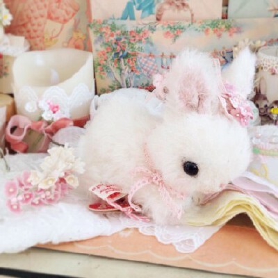 （以假乱真的玩具兔）作揖的兔子 养萌千日 用萌一时 可爱 卡哇伊 cute lovely 可爱小动物 猫咪兔子狗狗宠物 软萌 软糯 洗脸的兔子 