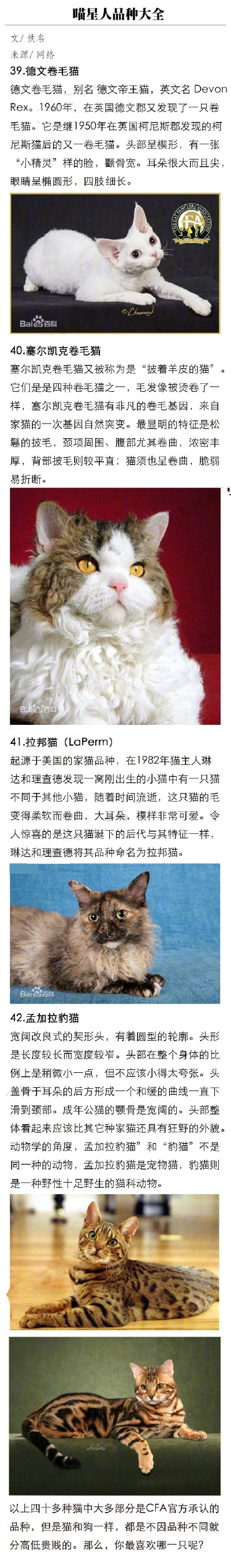 常见喵星人品种大全 ​​​​