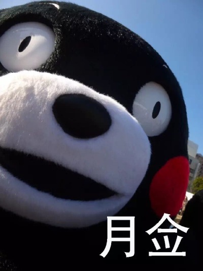 口合口合，只有月半子才能亻本会至刂白勺痛