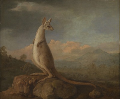 《新荷兰的康古罗》（The Kongouro from New Holland），George Stubbs，1772年世界上第一幅以袋鼠为主题的油画是《新荷兰的康古罗》，于1772年由英国画家 George Stubbs 完成。Stubbs 并没有亲眼见过袋鼠，而是借助…