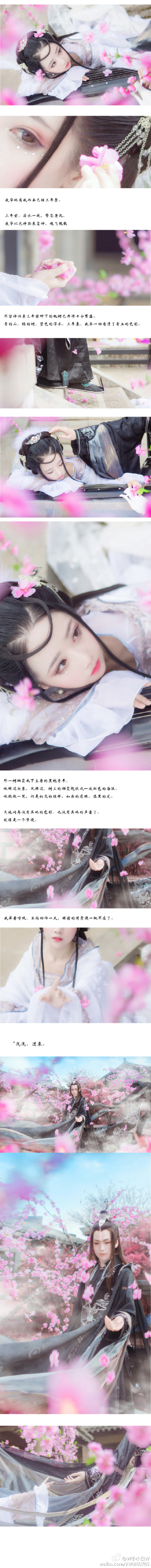 三生三世十里桃花 小小白