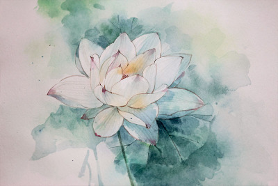 水彩荷花
