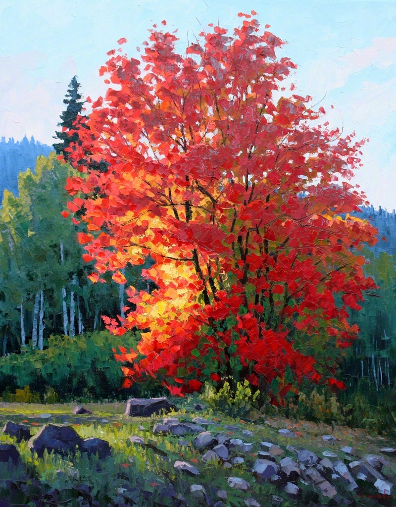 画家 Douglas Aagard 画笔下的树 | www.aagardart.com ​​​​