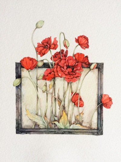 花卉插画