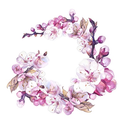 花卉插画