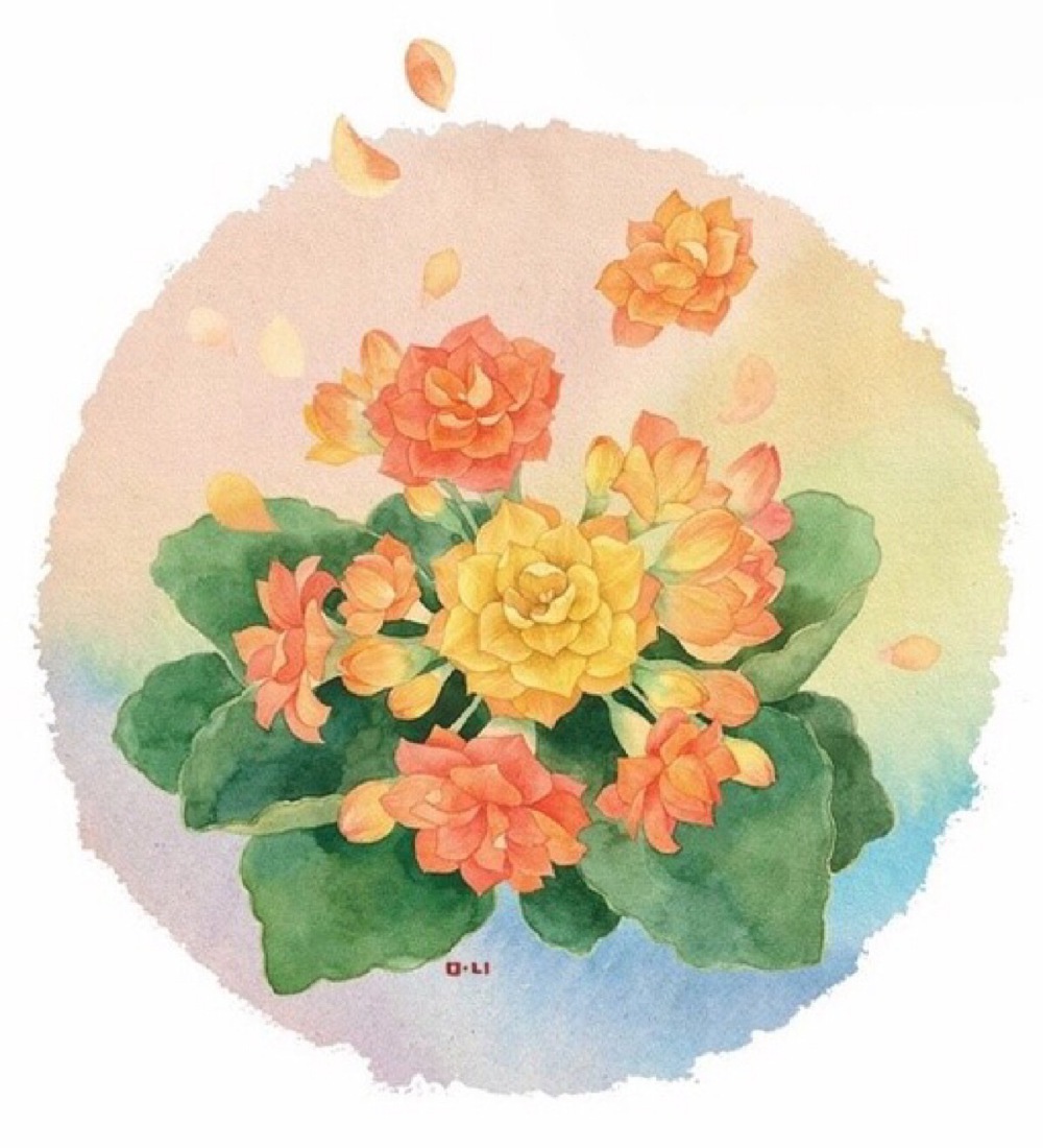 花卉插画