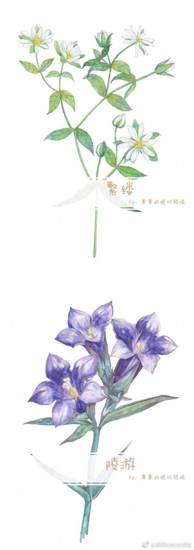花卉