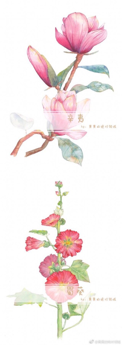 花卉