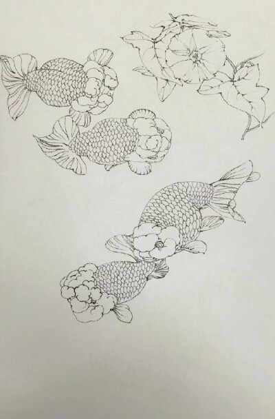 鱼