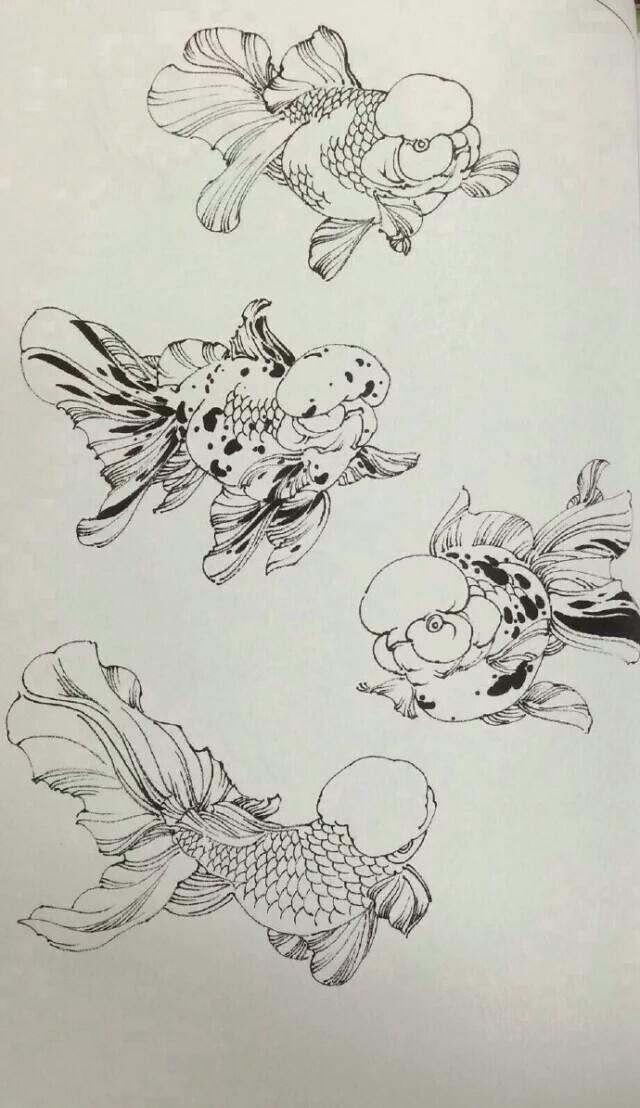 鱼