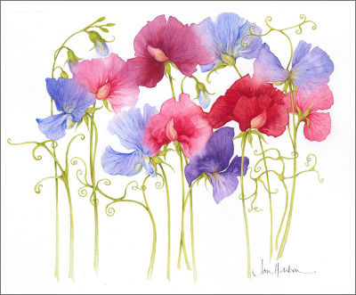 Jan Harbon作品