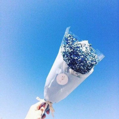 满天星 花语为：清纯、关怀 情感上，代表着“甘愿做配角的爱”。意为：永远守护你，却绝对不会干涉你的生活。分为 仙女（Bristol Fairy）完美（Perfecta）红海洋（RedSea） 火烈鸟（Hamingo）钻石（Flamingo）五…