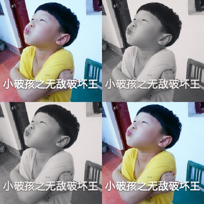 四格小霸王