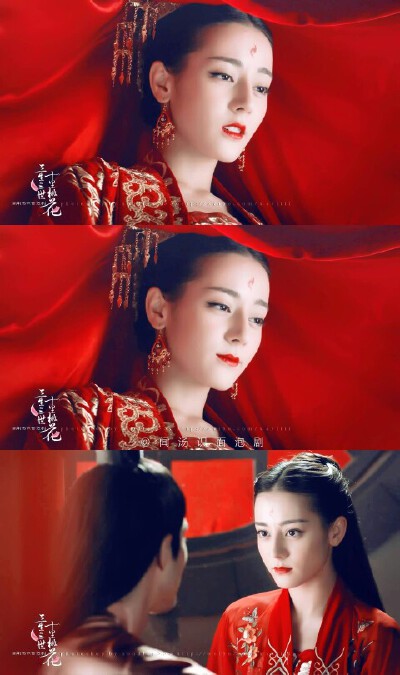 #三生三世十里桃花# #三生三世枕上书# #东华 #凤九